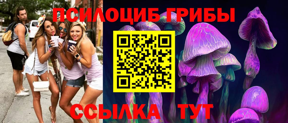 Псилоцибиновые грибы Psilocybine cubensis  Вход с VPN  Москва  Псилоцибиновые грибы Psilocybe 