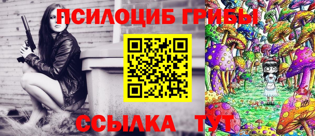 Псилоцибиновые грибы MAGIC MUSHROOMS Москва