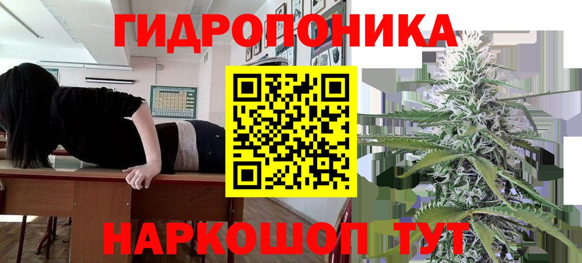 Бошки Шишки OG Kush Москва
